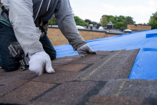 Best Storm Damage Roof Repair  in Parker, AZ